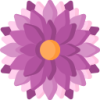 ky开云 logo