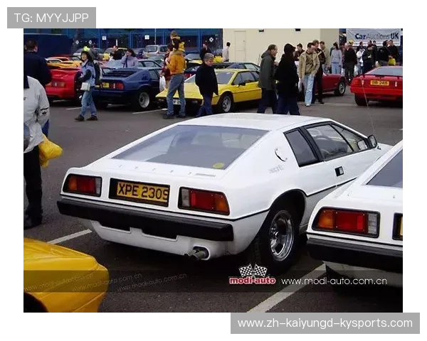 英超球队用车品牌统计与球员私人座驾趣谈